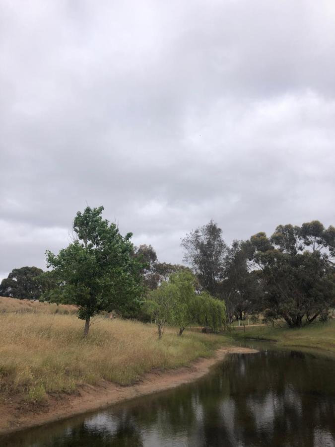 Mondurup Escape - Kendenup Apartment Bagian luar foto